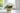 Antique Objects - Oliver Barret